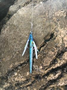 אסיסט כחול כפול לג'יג needlefish